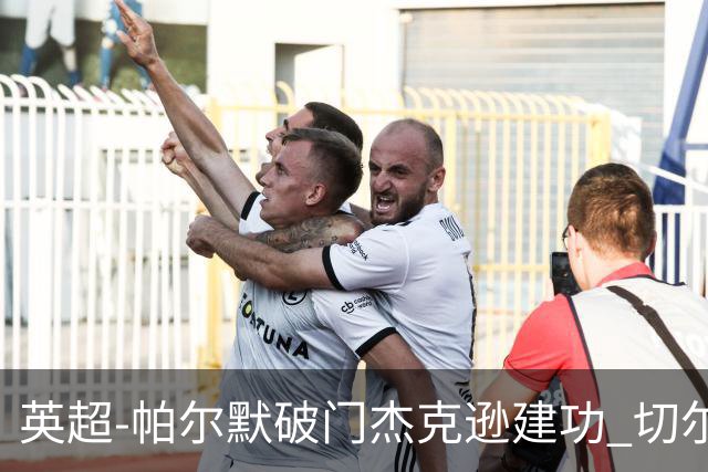 英超-帕尔默破门杰克逊建功 切尔西2-1纽卡斯尔